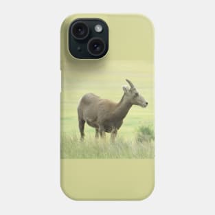 Big Horn Sheep-6 Phone Case