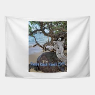 Kualoa Ranch Hawaii 2019 Tapestry