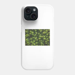 Top down aerial view of pine forest Phone Case