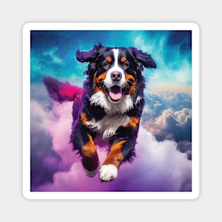 Bernese Mountain Dog Magnet