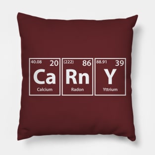 Carny (Ca-Rn-Y) Periodic Elements Spelling Pillow