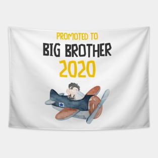 Promoted to Big Brother 2020 loves flying Airplane Tapestry