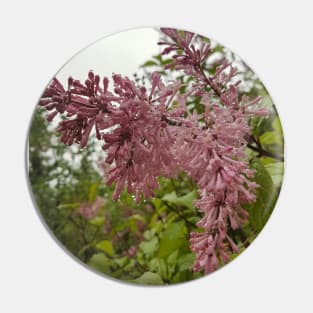 Lilacs in the Rain Pin