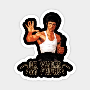 Bruce Dragon Legend Movie Bruce Jeet Kune Do Magnet