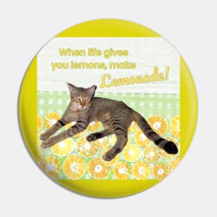 Cat with Funny Quote When Life Gives You Lemons, Make Lemonade Pin