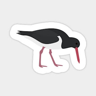 Oyster Catcher Magnet