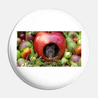 George the mouse in a log pile house - Mouse inside a apple with summer fruits Pin