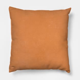 Burnt Orange Terracotta Clay Boho Pillow