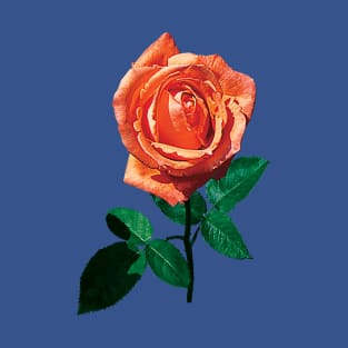 Roses - Graceful Orange Rose T-Shirt