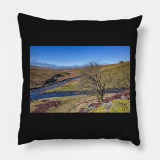 Meldon Hill and Golden Mea Pillow