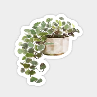 String of Hearts Succulent House Plant Magnet