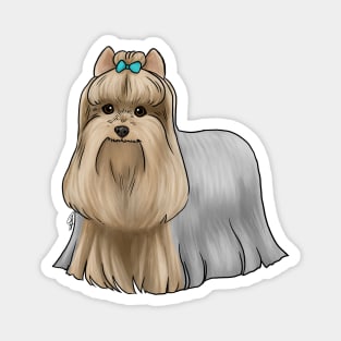 Dog - Yorkshire Terrier - Tan and Blue Show Cut Magnet