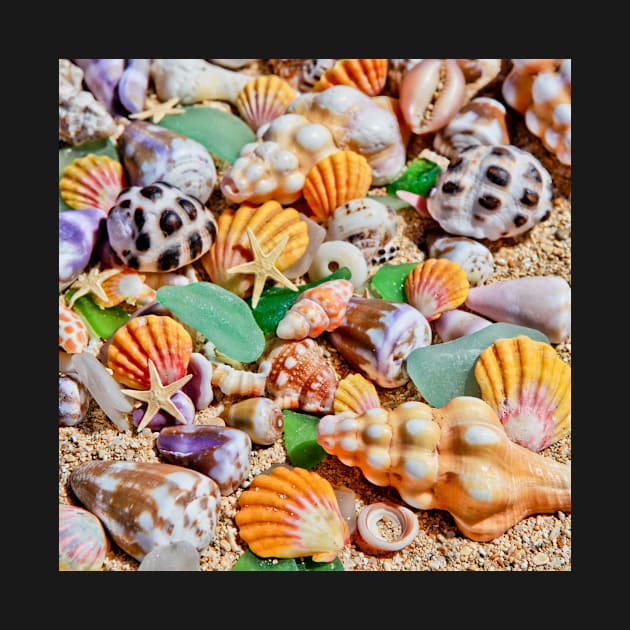 Seashells by the Seashore by alohaportraits