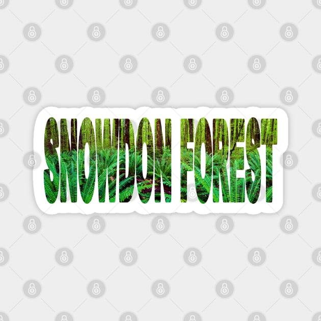SNOWDON FOREST - South Island New Zealand Fangorn Magnet by TouristMerch