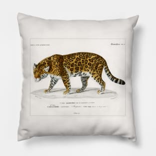 Jaguar (1892) Pillow