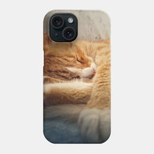 Orange kitten sleeping sweet Phone Case