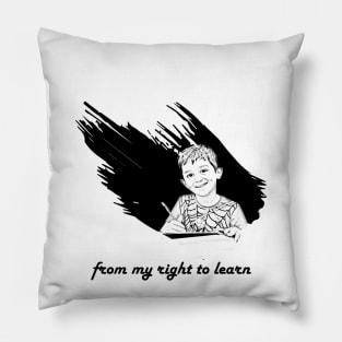 From my right to learn Pillow