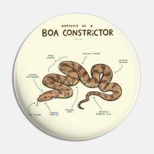 Anatomy of a Boa Constrictor Pin