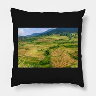 Rice Terrace4. Pillow