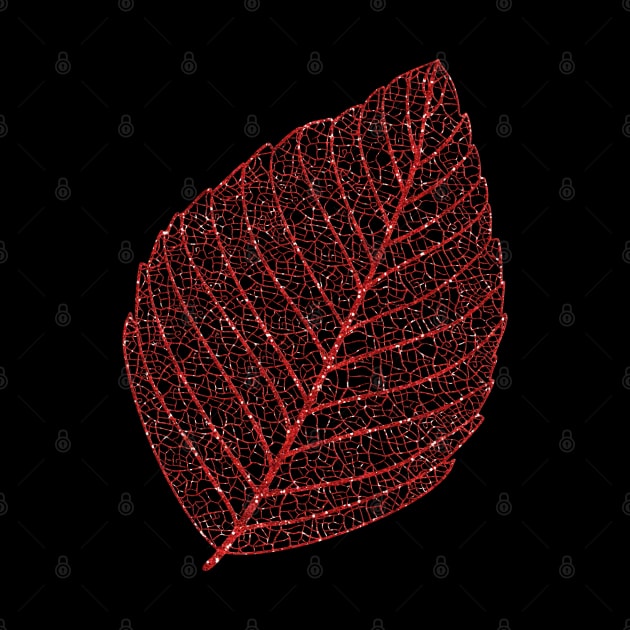 Colorful Leave by holidaystore