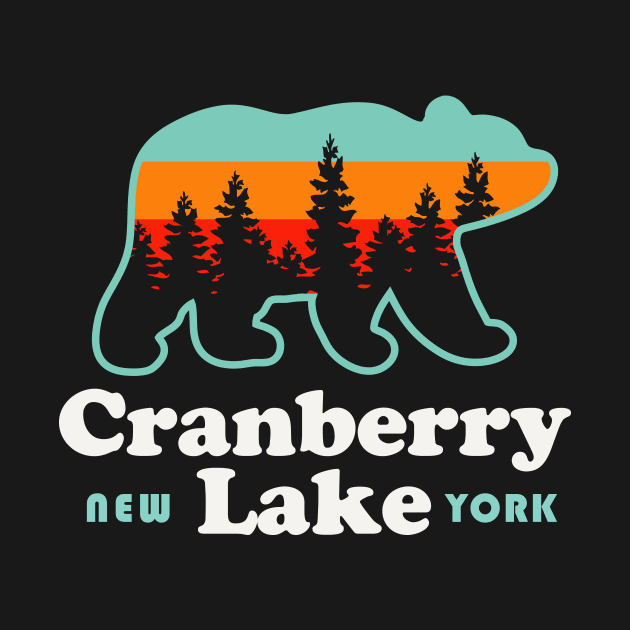 Cranberry Lake New York Hiking Fishing Camping by PodDesignShop