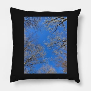 Trees Blooming In Spring Pillow