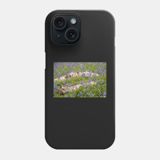 Bluebells Phone Case