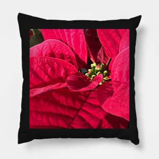 Red Poinsettia for Peace, Joy, Harmony and a Joyous Christmas Pillow