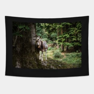 Mountain Goat Tapestry