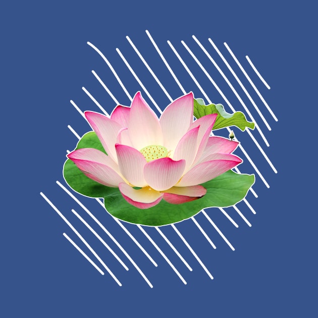 namaste lotus flower by GazzKen005