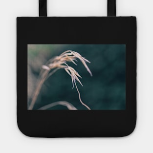 Reach out... Tote