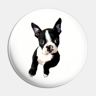 Boston Terrier Cutie Pin