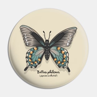 Pipevine Swallowtail Pin