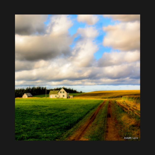 Dirt Road to Old Homestead by kenmo