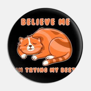 Cat Believe Me Pin