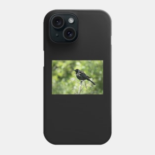 Every Day I'm Grackling Phone Case