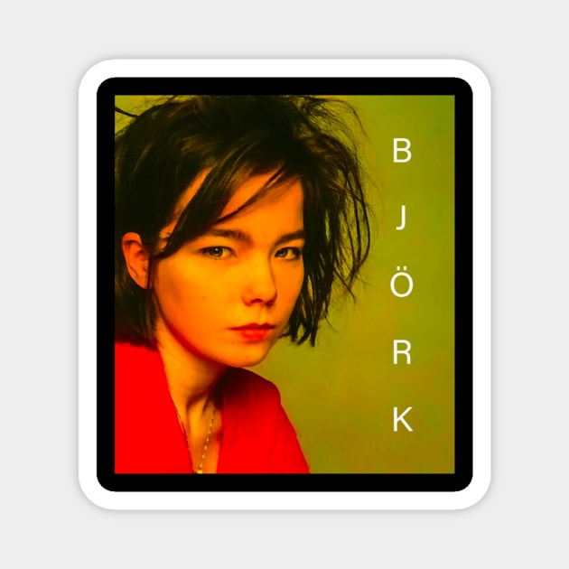 Bjork Kaleidoscopic Kismet Magnet by xXYazzyChanArtsXx