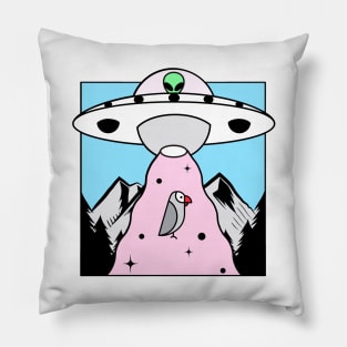 Alien Abduction Pillow