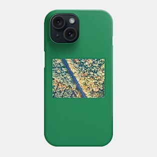 Road through colorful autumn forest Phone Case