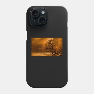 A Walk For Joy Phone Case