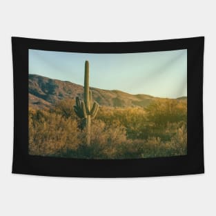 Sonoran Desert Tapestry