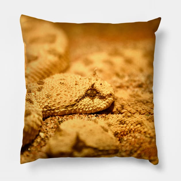 Snake XI / Swiss Artwork Photography Pillow by RaphaelWolf