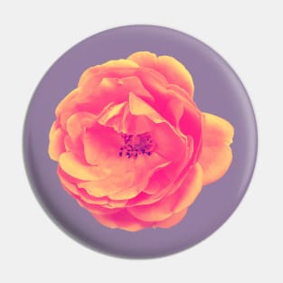 Roses are (amber) Pin