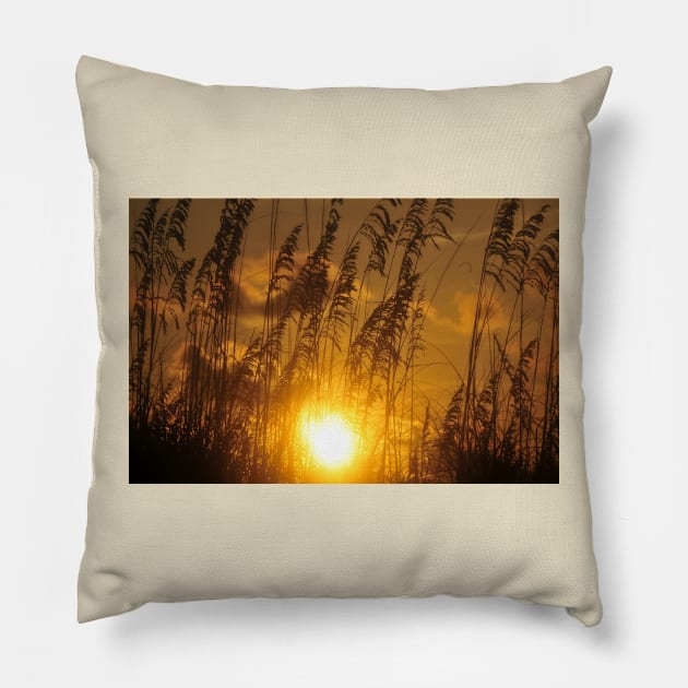 Sea Oats sunset Pillow by dltphoto