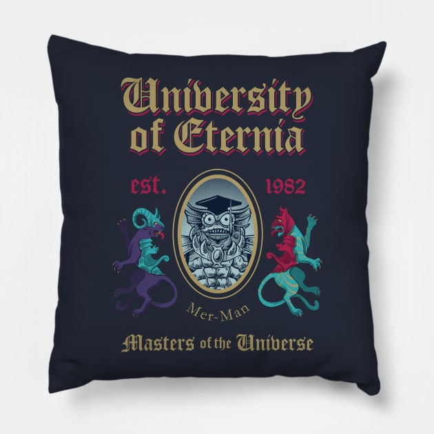 MSc in Universe Model 6 Pillow by DiegoPedauye