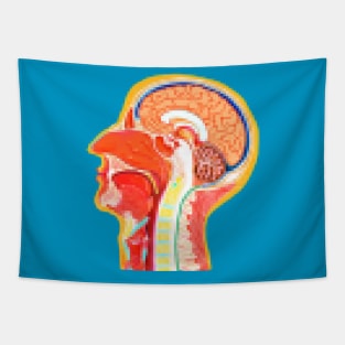 Pixelated Anatomical Nasal Cavity Tapestry