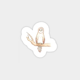 Woodland Barn Owl Magnet