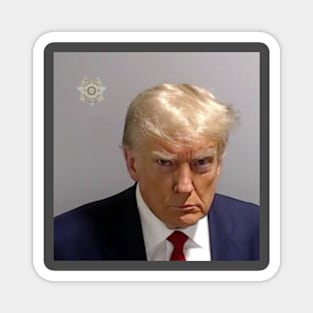 Official DONALD TRUMP MUGSHOT - GREATEST PHOTO EVER TAKEN Magnet