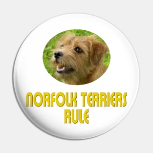 Norfolk Terriers Rule! Pin