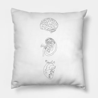 Anatomy heart brain, kidney Pillow